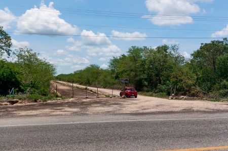 Venta de lotes de inversión de 1 Hectárea en la zona de Yaxcopoil Yucatan